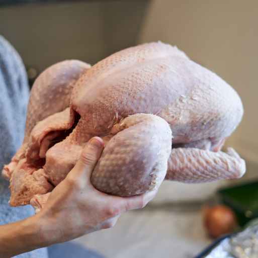 frozen turkey wholesale exporter